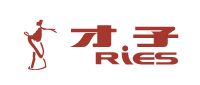 才子